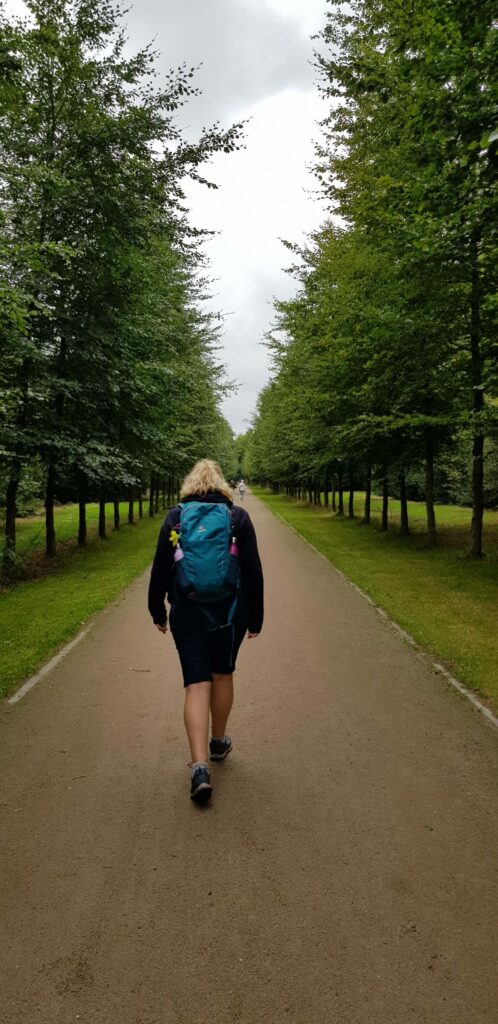 Bluebell coaching on a walk in the forest
