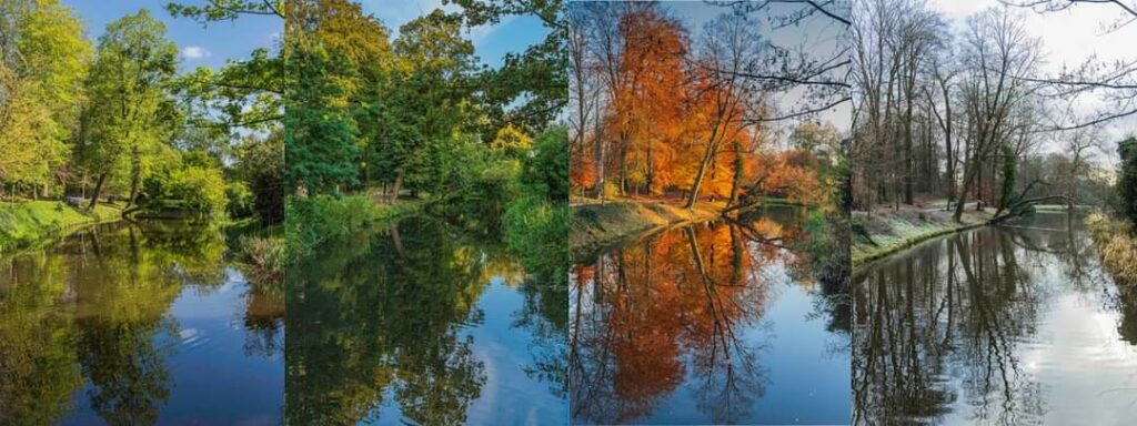 Four seasons Amersfoort