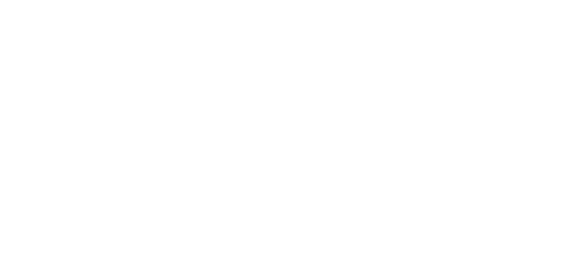 Outdoor Coach & Nature Therapist for Expats in the Netherlands