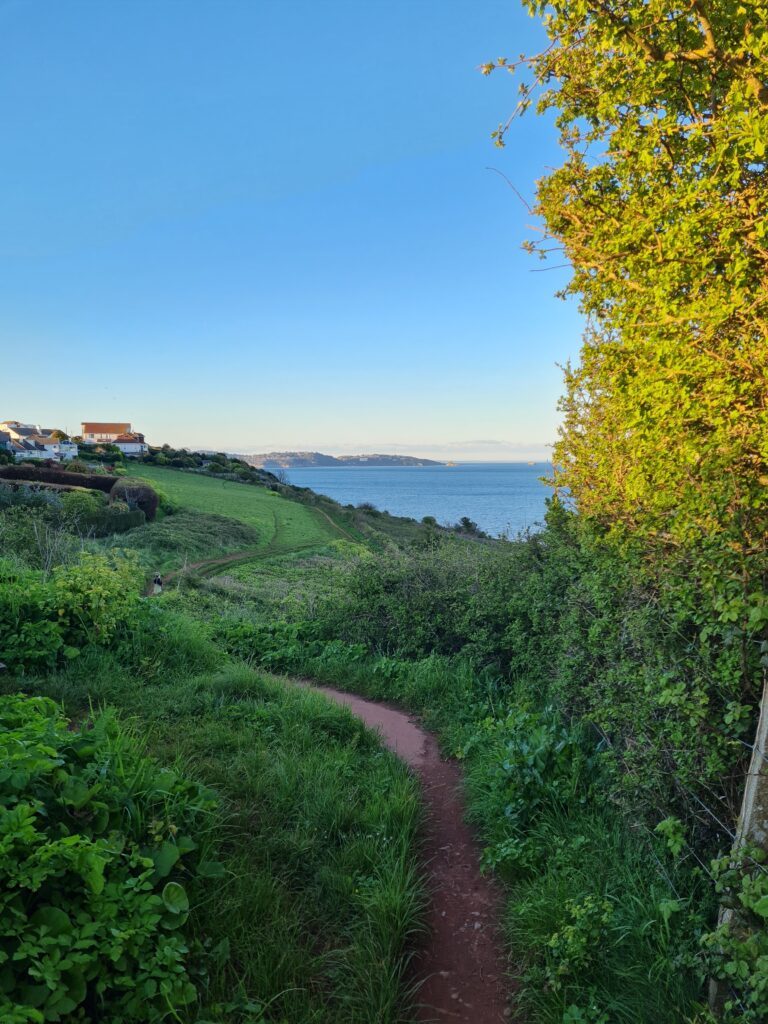 I coach expats in Amersfoort, Leusden, Hilversum and Utrecht