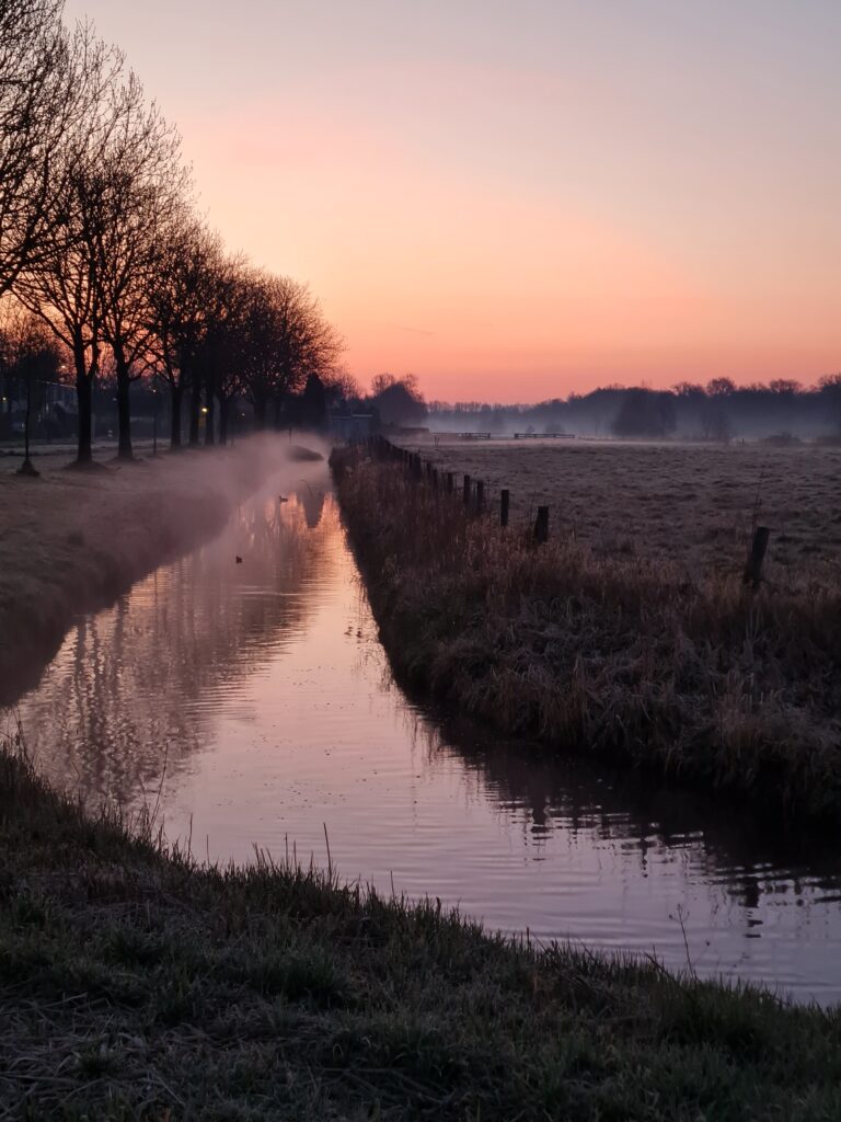 Soft sunrise over a misty Dutch canal, symbolizing new beginnings and gentle grounding for expat women.