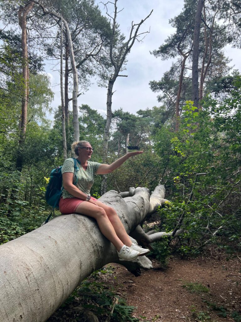 A woman sitting on a large fallen tree trunk in the forest, smiling while catching a drone in her hand. She is wearing a backpack, shorts, and sneakers, surrounded by tall pine trees and greenery.