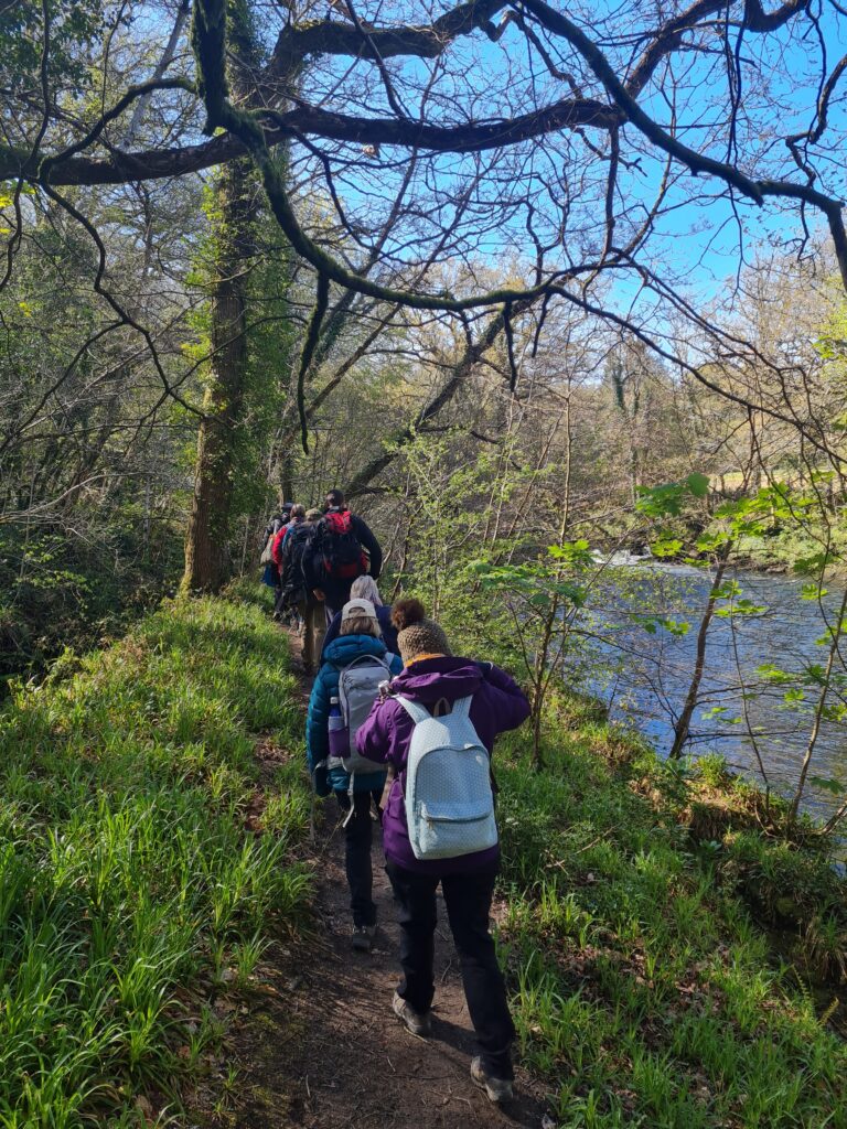 A small group walking together through the forest beside a river, symbolising the journey of coaching vs therapy — growth, reflection, and connection in nature.spring sunlight.